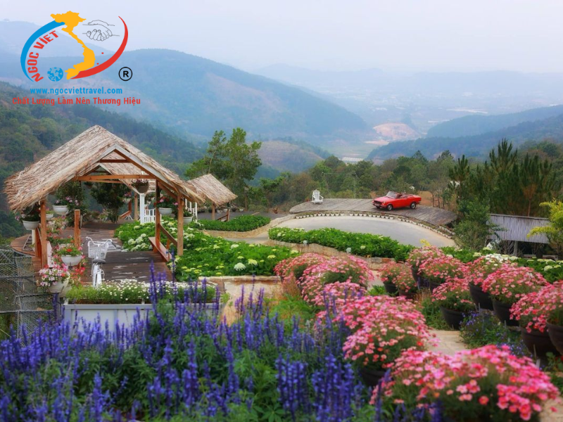 TOUR ĐÀ LẠT 3 NGÀY - NÔNG TRẠI CÚN PUPPYFARM - CAO NGUYÊN HOA ĐÀ LẠT - SAMTEN HILLS