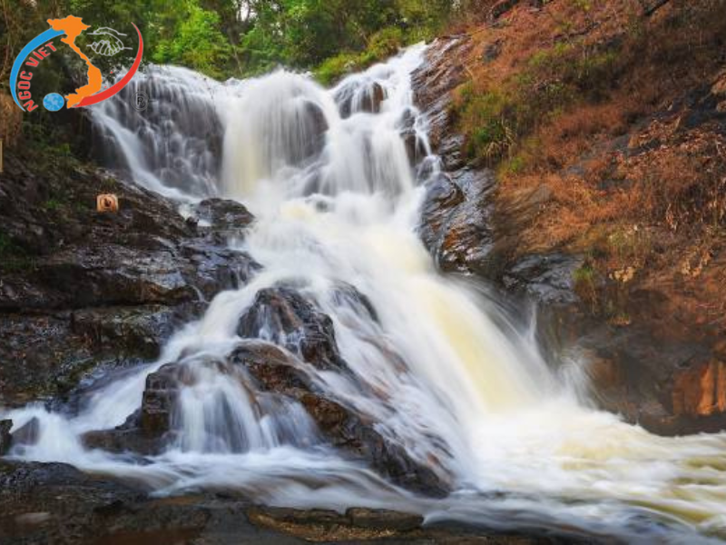 TOUR ĐÀ LẠT, TẾT BÍNH NGỌ - GIAO LƯU CỒNG CHIÊNG - MONGO LAND – KDL FRESH GARDEN - SAMTEN HILL