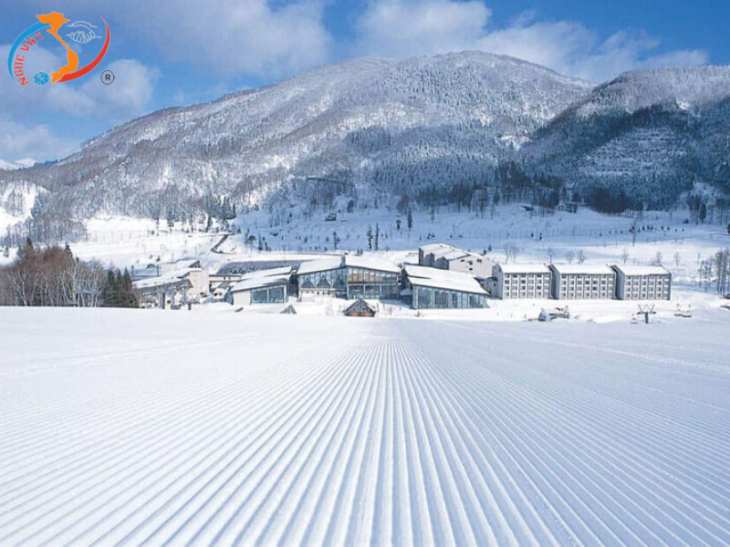 TOUR NHẬT BẢN - NARITA – TOKYO – FUJI –  NAGOYA – KANSAI (Tháng 1)