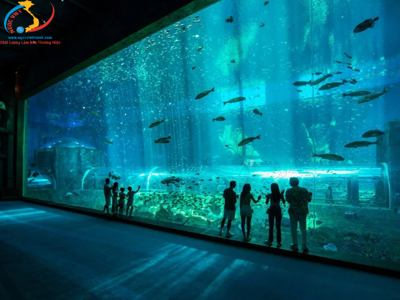 TOUR PHÚ QUỐC - 3N2Đ - KHÁM PHÁ VẺ ĐẸP CỦA ĐẢO NGỌC